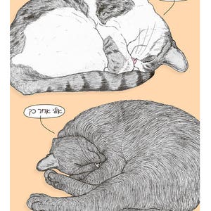 Cartão postal Cats Sleep em hebraico apresentando Rafi e Spageti, os famosos gatos israelenses do Ha'aretz Newspaper Comics
