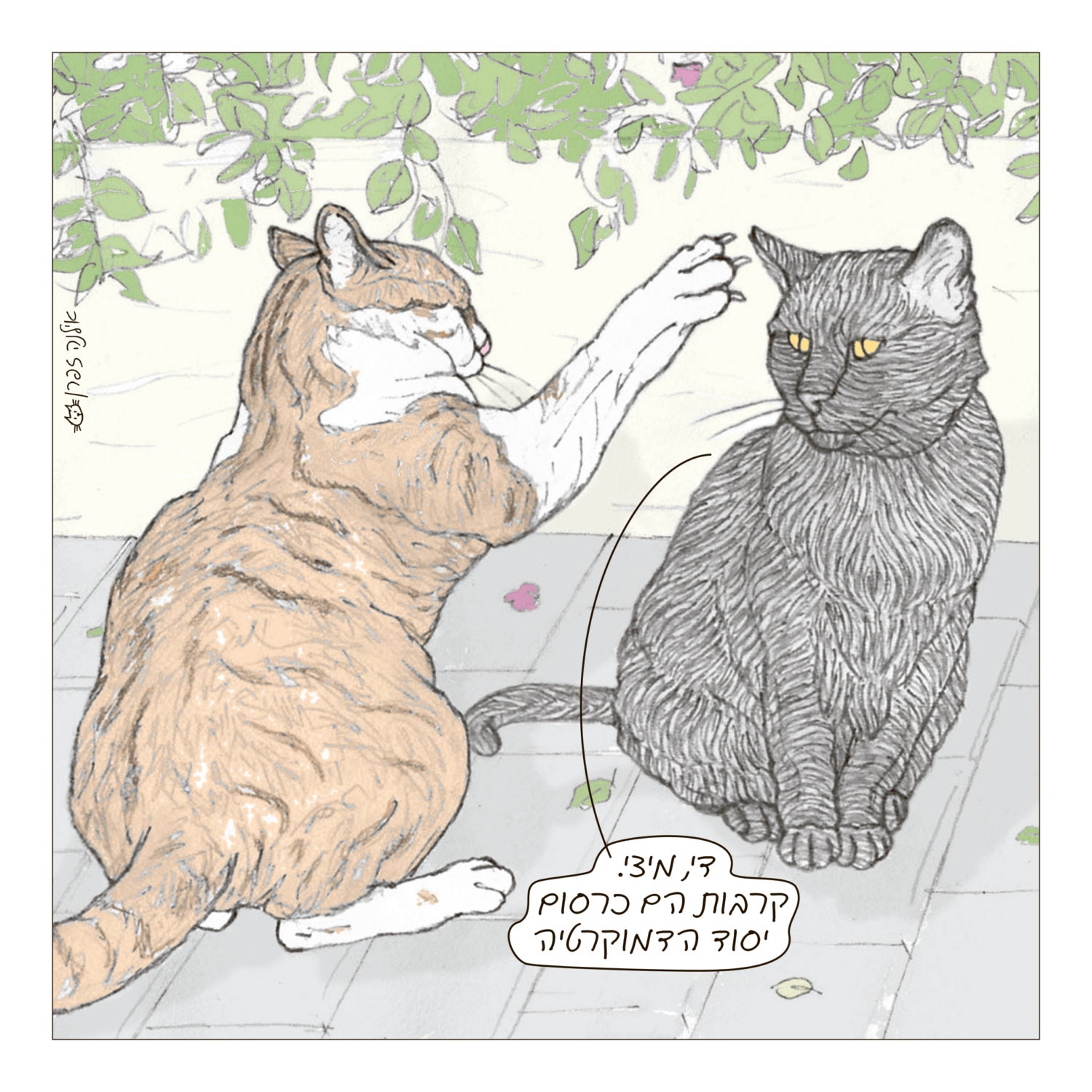 Cats Print Anti Violence Print in Hebrew Featuring Rafi, the Famous