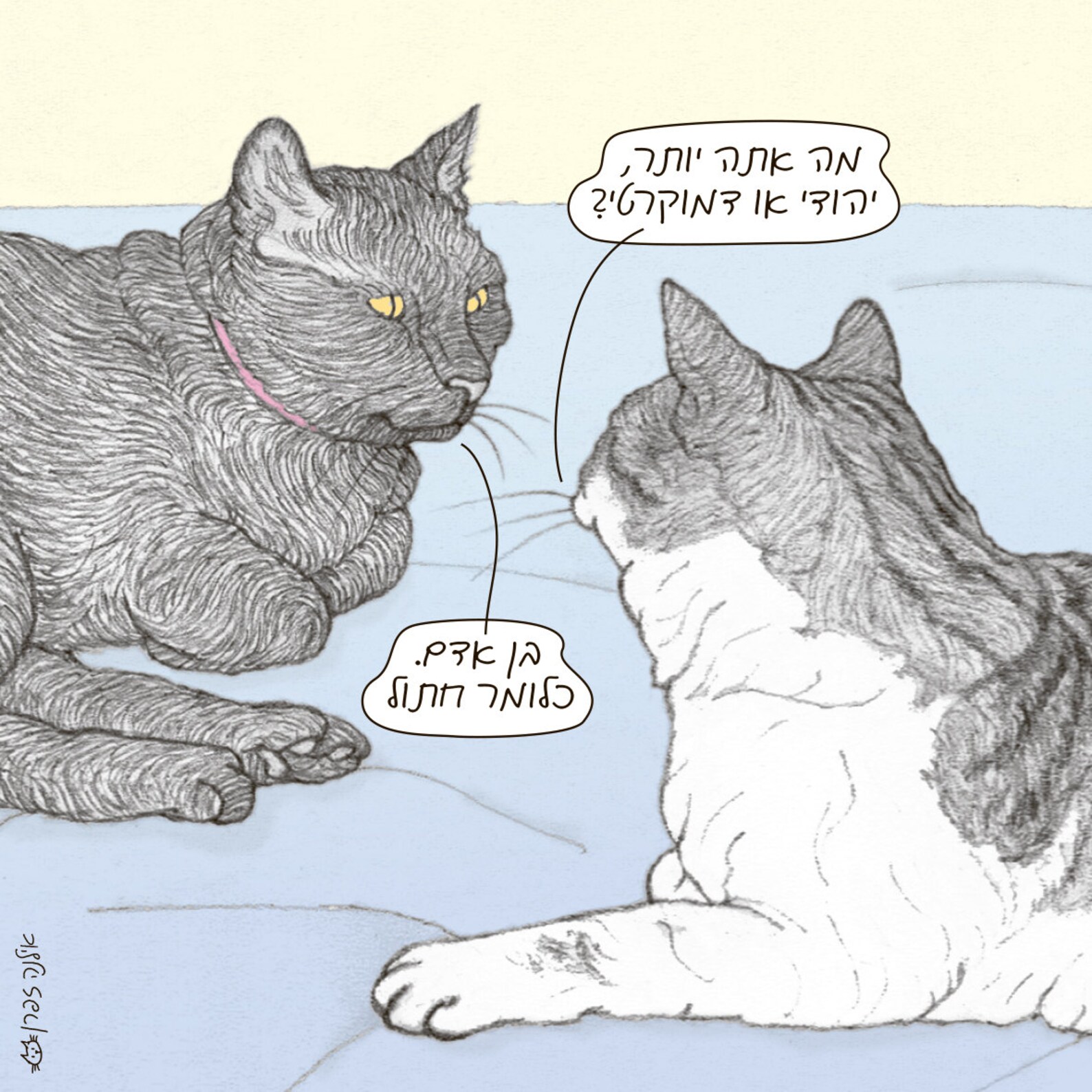 Cats Jewish or Democrat in Hebrew Featuring Rafi Etsy