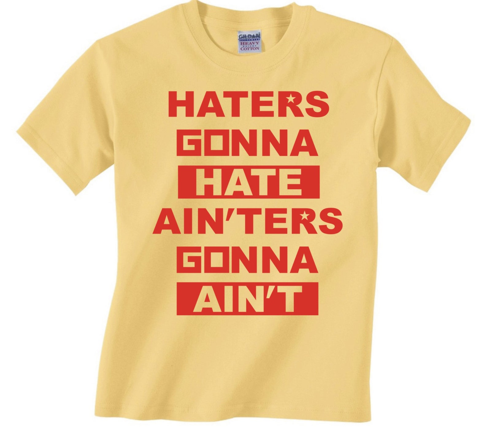 Haters gonna hate and ainters gonna aint