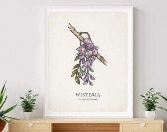 wisteria home goods