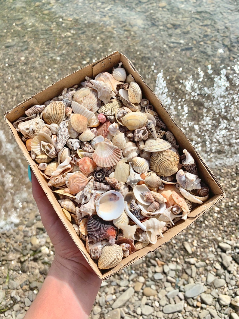 Genuine Sea Glass Beach Treasure Beach Glass Sea Pottery Beach Decor Beach stones Shell bulk Mermaid treasure box Sea Ceramic Seaglass image 4