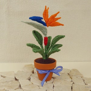 Paradiesvogelblume - Etsy.de