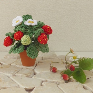 e-Book: Crochet Pattern Mini Strawberry in German & English