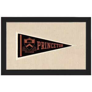 Princeton Pennant - Etsy
