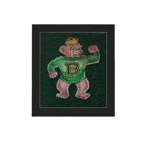 May include: A framed illustration of a muscular bear wearing a green sweater with a gold "B" on the front. The bear is pink with a yellow hat and is flexing its right arm. The background is dark green.