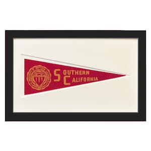 May include: Framed pennant featuring the University of Southern California logo and text. The pennant is red with gold lettering and a gold emblem. The frame is black, and the background is off-white.