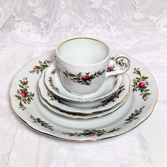 Vintage Johann Haviland Moss Rose China: 5-piece Place Setting - Etsy