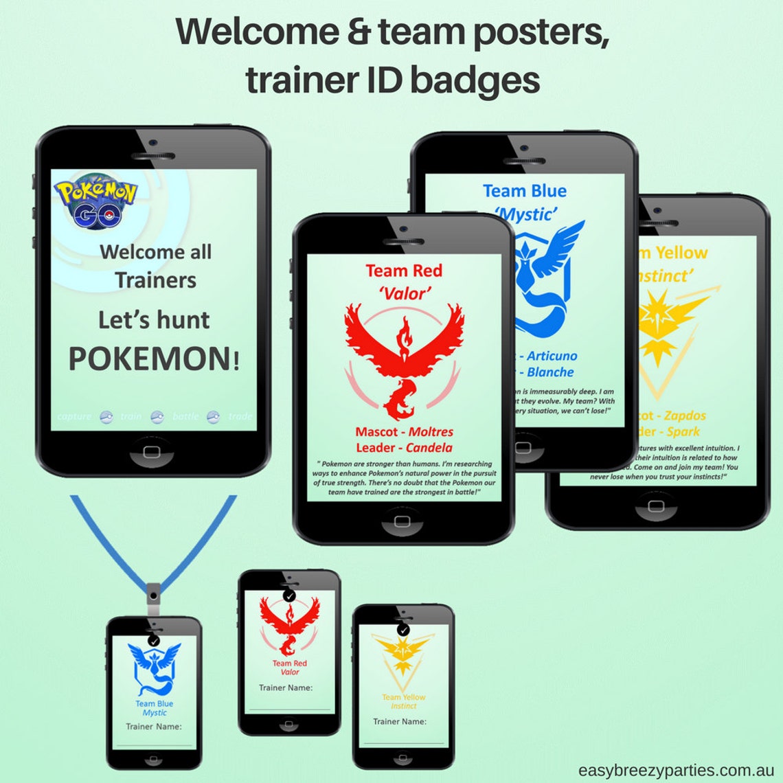 POKEMON GO Party Kit Detailed activity instructions Etsy