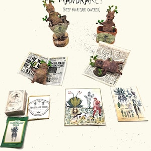 Può includere: Statuette in miniatura di mandragore con foglie verdi e corpi marroni testurizzati, alcune in vasi, altre su giornali Daily Prophet. Include scatole di semi, bustine di cibo per mandragore e due carte illustrate con scene botaniche.