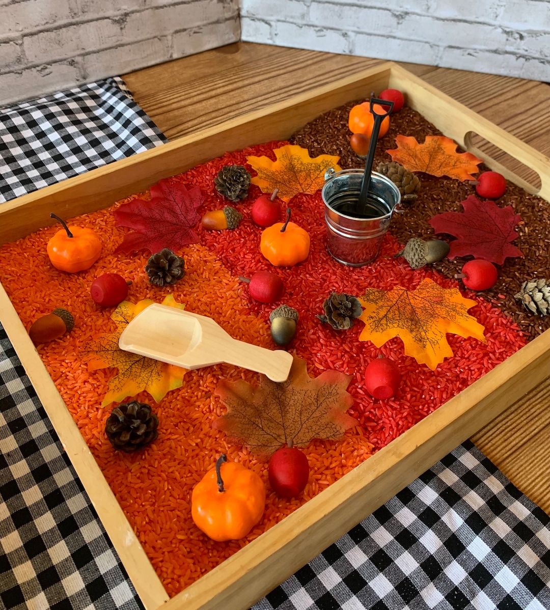 Montessori Fall Sensory Bin Play Kit Sensory Materials