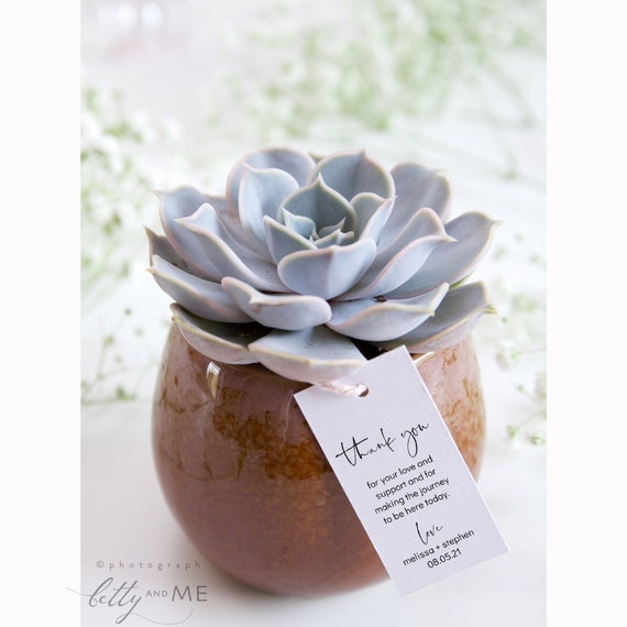 Modern - Wedding Favor Thank You Tags, Personalised Favor Tags, Wedding Gift Tags, Printable Template 5 sizes, Corjl, FREE Demo