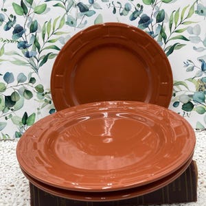 Longaberger Pottery Woven Traditions Spice Color Reddish Brown Dinner Plate 10 inch Dishwasher Safe Microwave Oven Safe Farmhouse Kitchen