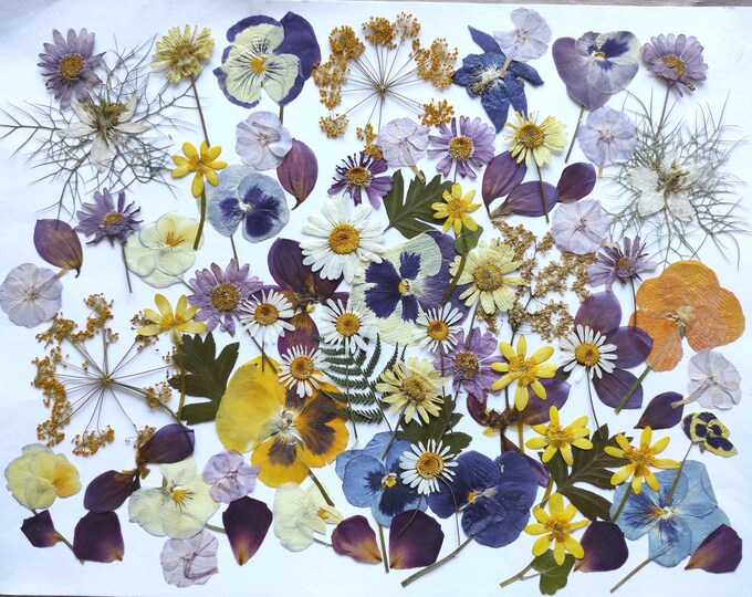 Pressed Flowers, Edible Flowers for Cake Decoration, Pressed Flowers