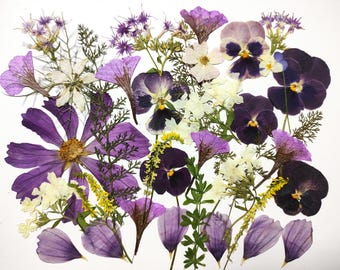 Fiori pressati commestibili viola: decorazione di torte, mix di prati naturali, artigianato, biglietti, resina, creazione di gioielli