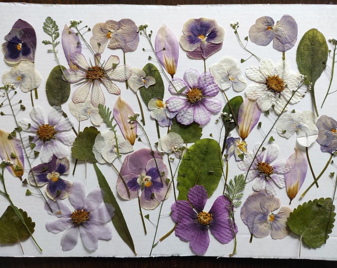Edible Flowers for Cake Decoration, Pressed Flowers for Cakes, Pressed Meadow Flowers, Side