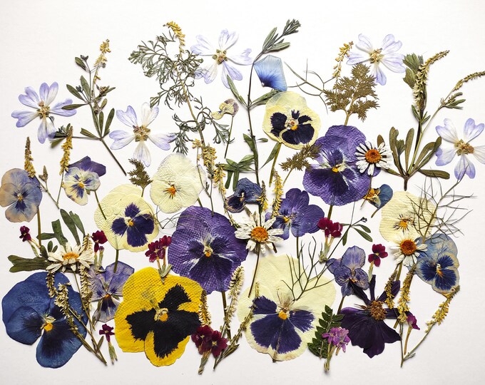 Pressed Flowers for Cakes Edible Flowers for Cake Decoration Etsy