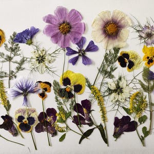 Edible flowers for cake decoration, Pressed flowers for cakes, Pressed meadow flowers, side dishes, cookies, cocktails,  flowers for craft