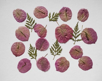 Purple pressed flowers, pressed flowers for jewelry, Pressed flowers art, flowers for craft, flowers for resin, mixed pressed flower, resin