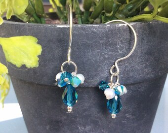 Swarovski Crystal Earrings