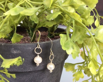 Freshwater Pearl Earrings
