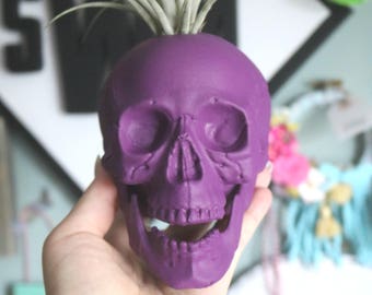 Custom Large Skull Planter with Air Plant Room Decor- Halloween Decor- Home Decor- Color Skull- Desk Decor- Birthday Gift- Christmas Gift