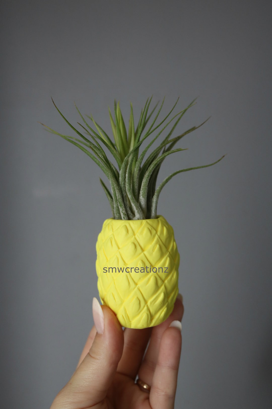 Cute Custom Pineapple Air Plant Planter Gift Desk Decor Home Decor Office