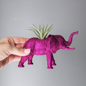 Custom Elephant Planter with Air Plant Room Decor Home Decor Birthday Gift Teacher Gift Party Favor Zoo Party image 2