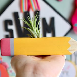 The Original Custom Wood Pencil Shape airplant planter- Oil Holder - Teacher Desk- Wood Pencil- First Day Of School - Back to school