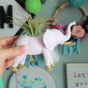 Custom Elephant Planter with Air Plant Room Decor Home Decor Birthday Gift Teacher Gift Party Favor Zoo Party image 6