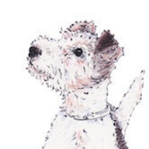 May include: A white wirehaired fox terrier dog with brown ears and a black patch on its back, sitting with its head tilted up and its tail raised.