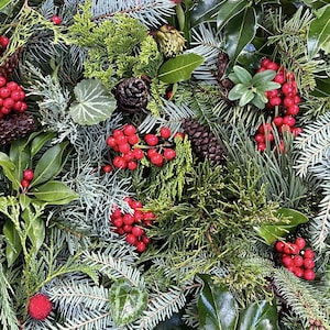May include: A close-up of a variety of green foliage and red berries. The foliage includes pine, cedar, and holly. The berries are small and round, and they are clustered together in groups.