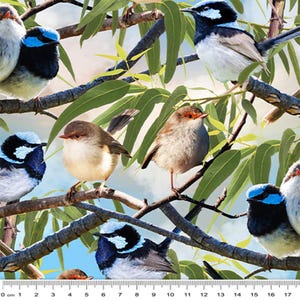 May include: A colourful fabric featuring a repeating pattern of blue, white and brown birds perched on branches with green leaves. The birds are in various poses, some singing and some looking around. The background is a light blue sky with white clouds.
