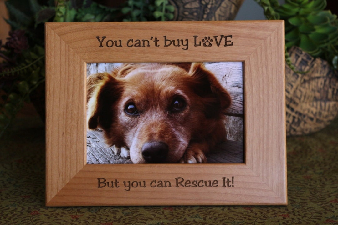 Personalized Pet Rescue Wood Picture Frame, Personalize Dog Picture ...