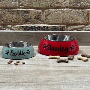 May include: Two personalized pet bowls, one red and one green, with stainless steel interiors. The red bowl says "Stanley" and the green bowl says "Freddie".