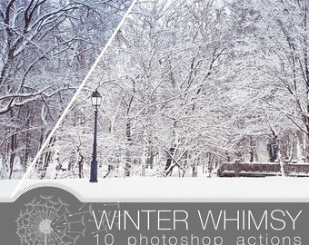 Winter Whimsy Photoshop Actions (10) | Winter Effects | Instant Download