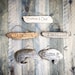 see more listings in the Driftwood Signs section