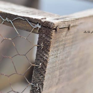 Chicken Wire Crate