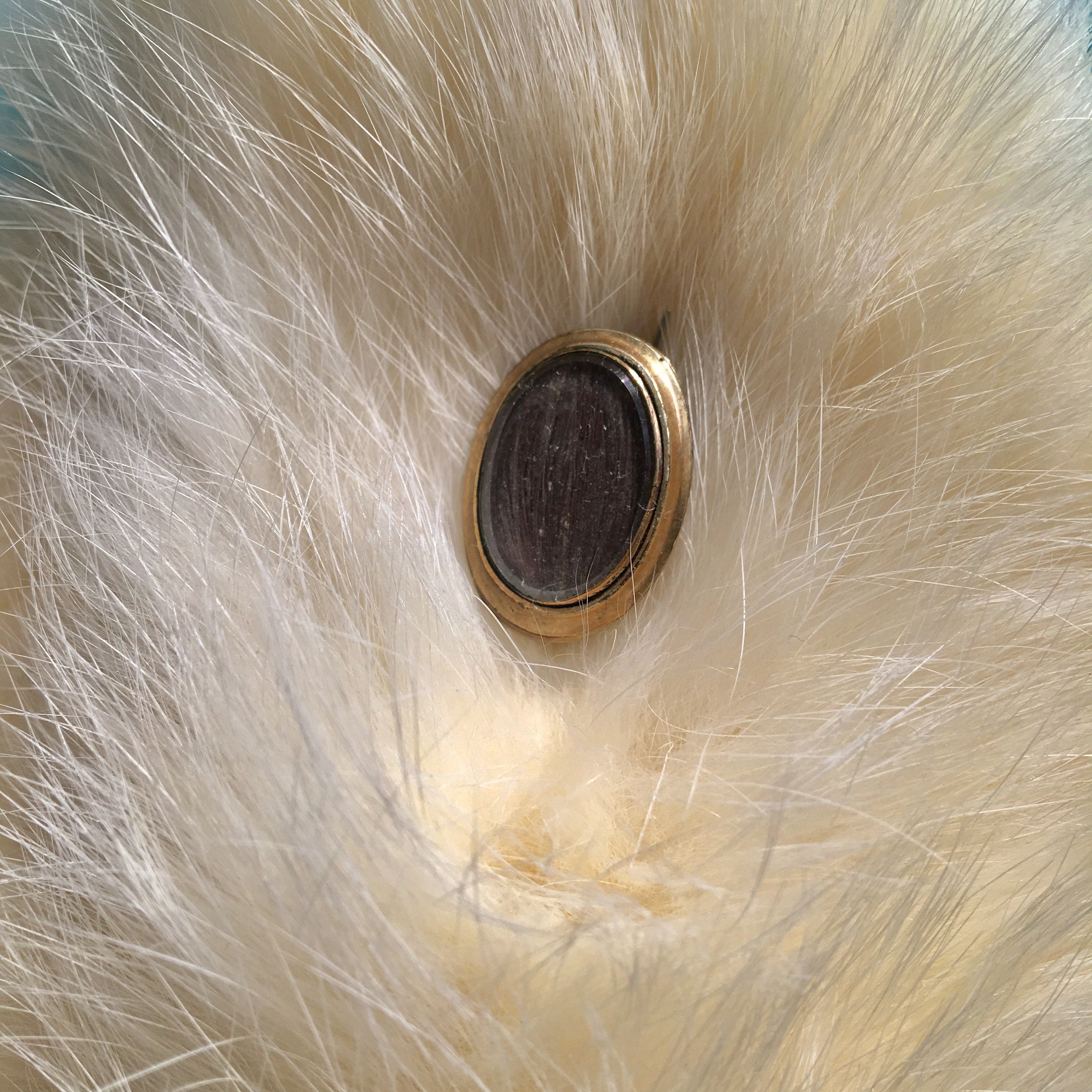 Antique Victorian Gold Fill Brooch Human Hair Pin Brooch