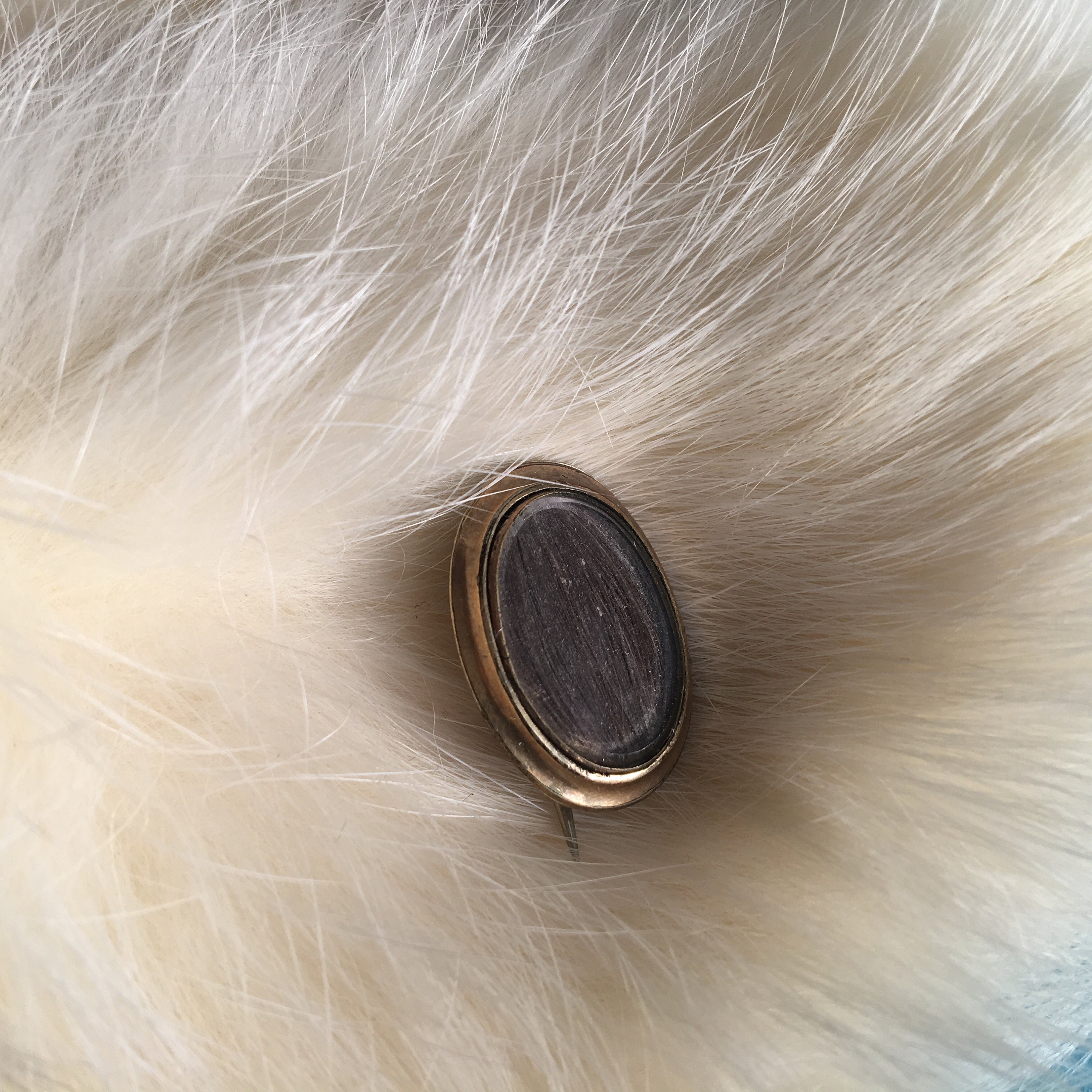 Antique Victorian Gold Fill Brooch Human Hair Pin Brooch