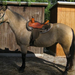 Vintage Fabtron Western Saddle, Pick up only, Pleasure riding lightweight saddle