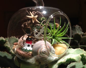 Zestaw do terrarium dla roślin powietrznych Apple Glass: „Ucieczka nad morze” z latarnią morską i drewnem dryfującym
