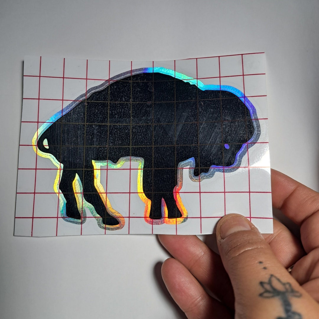 holographic buffalo shoes