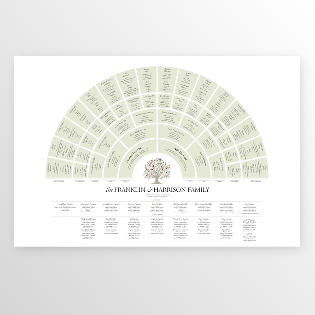 7 Generation Genealogy Fan Chart for a Couple, 24x36 Family Tree ...