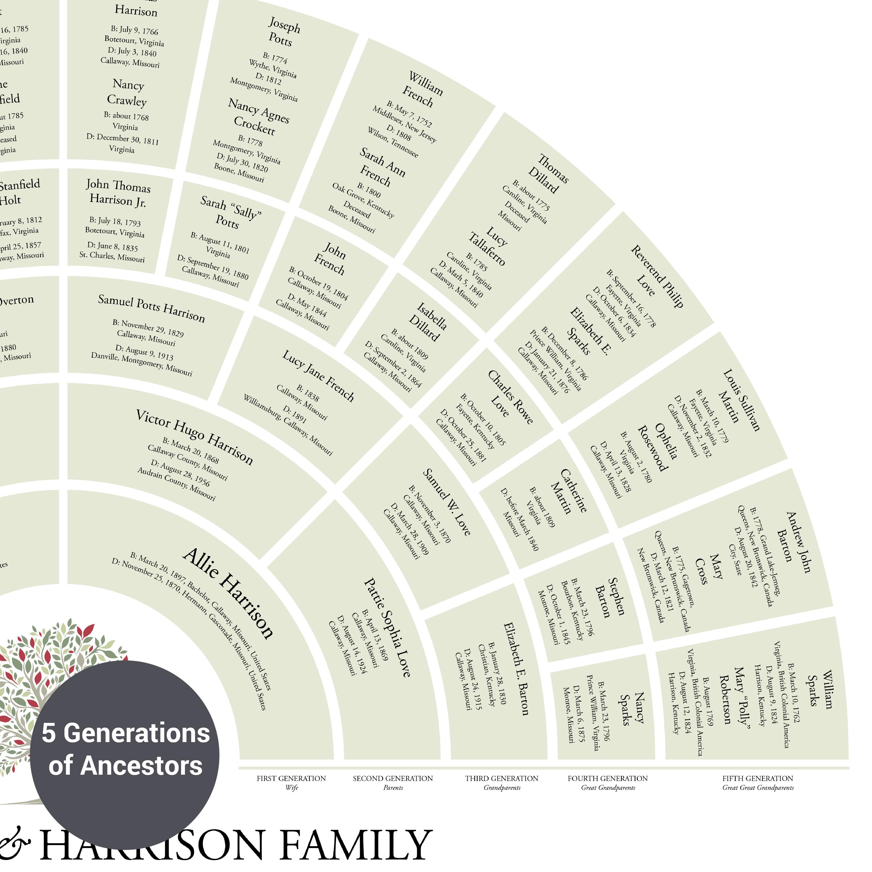 7 Generation Genealogy Fan Chart for a Couple, 24x36 Family Tree ...