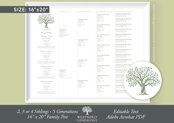 3 Generation Family Tree Template With Siblings