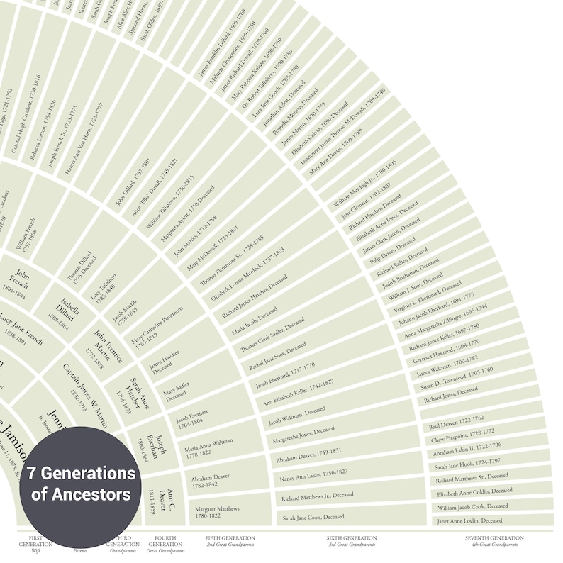 Generational Tree Roots 9 Generation Family Tree, 24x36 Genealogy Chart With Ancestors Children ...