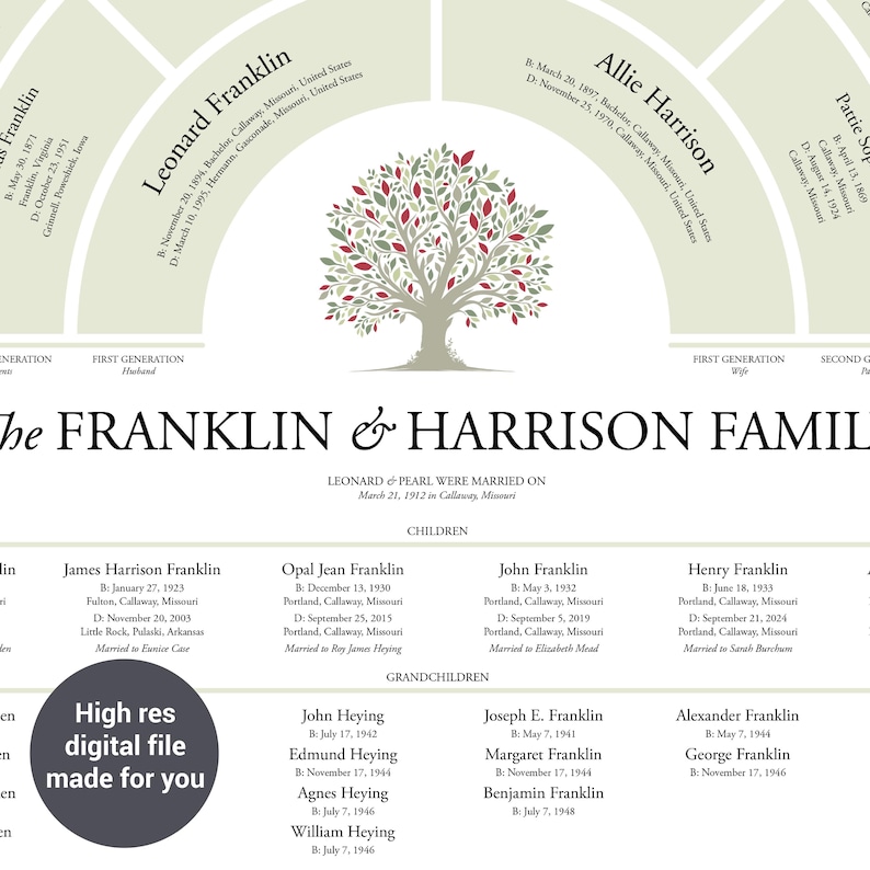 6 Generation Genealogy Fan Chart With Ancestors and Descendants, 16"x20 ...