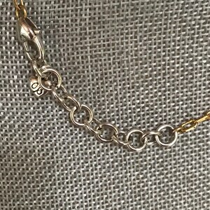 Puede incluir: Una cadena extensora de collar en metal plateado con eslabones circulares y un cierre de mosquet&oacute;n. Un peque&ntilde;o dije en forma de coraz&oacute;n est&aacute; unido cerca del cierre, grabado con las letras CB. La cadena se conecta a un segmento de cadena dorado.