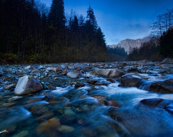 Lynn Creek